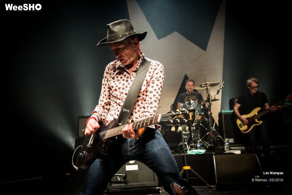 18/46 photos du spectacle Les Wampas