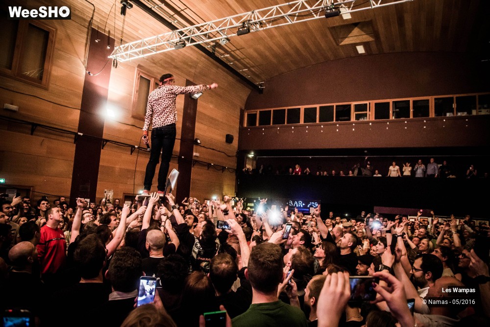 20/46 photos du spectacle Les Wampas