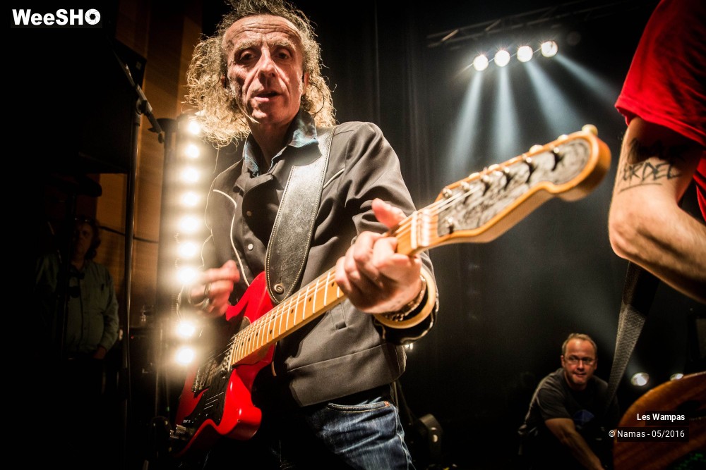 21/46 photos du spectacle Les Wampas