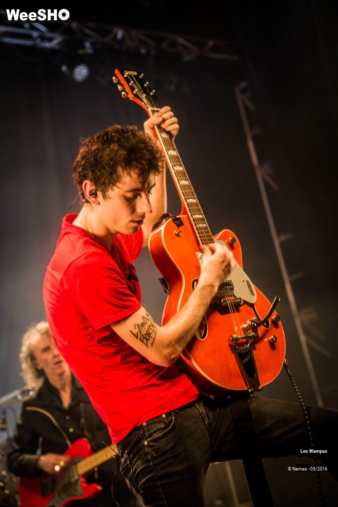 22/46 photos du spectacle Les Wampas