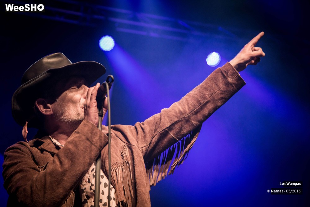 23/46 photos du spectacle Les Wampas