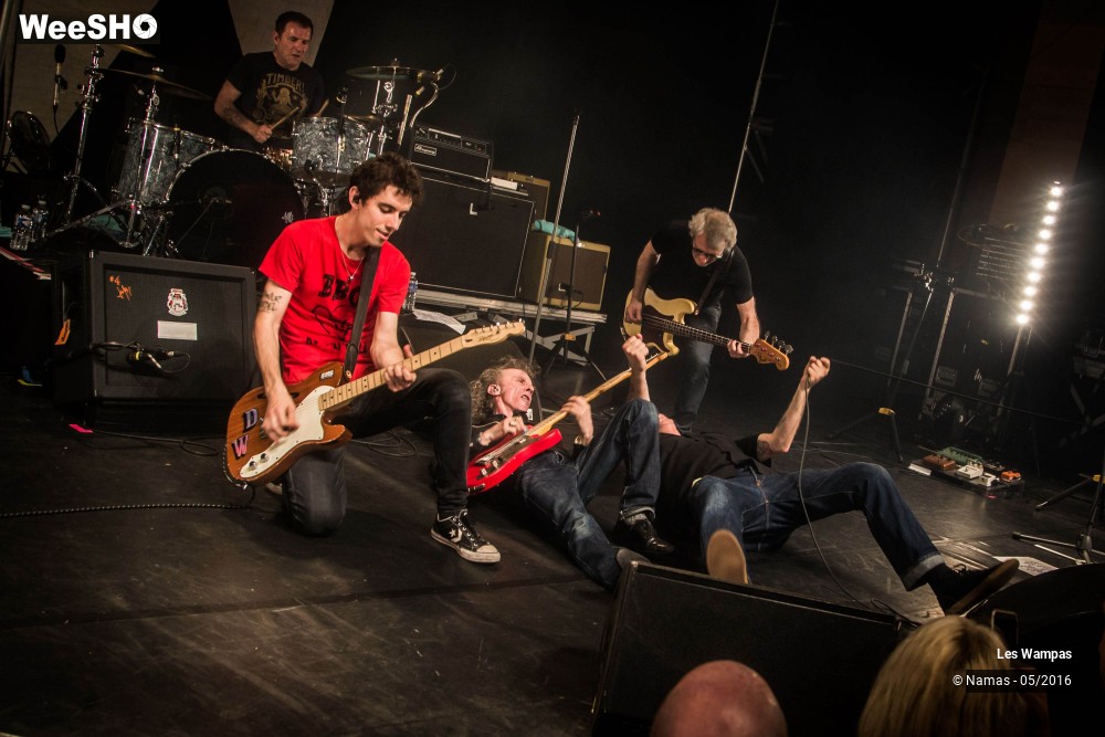26/46 photos du spectacle Les Wampas