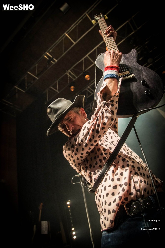 27/46 photos du spectacle Les Wampas