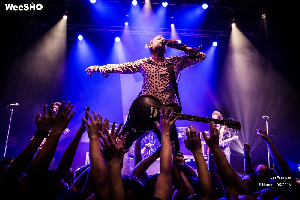 28/46 photos du spectacle Les Wampas