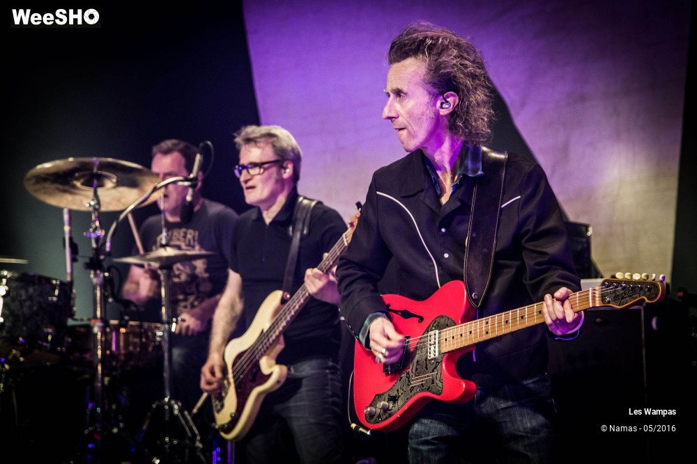 29/46 photos du spectacle Les Wampas