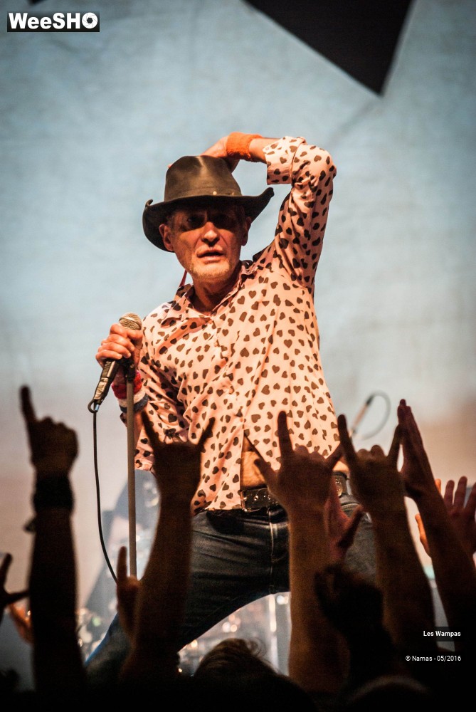 30/46 photos du spectacle Les Wampas