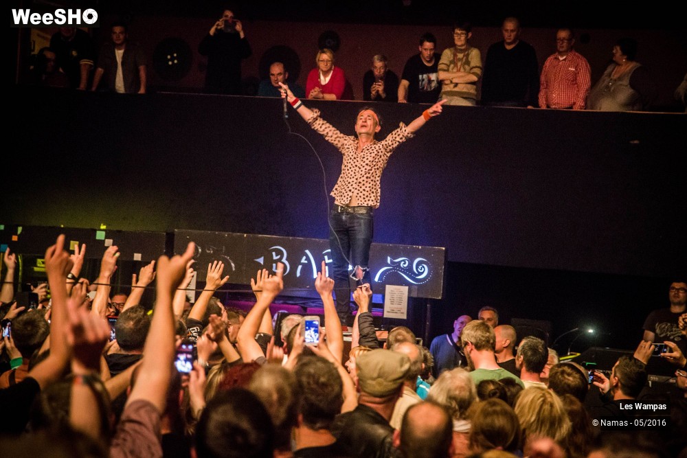 31/46 photos du spectacle Les Wampas
