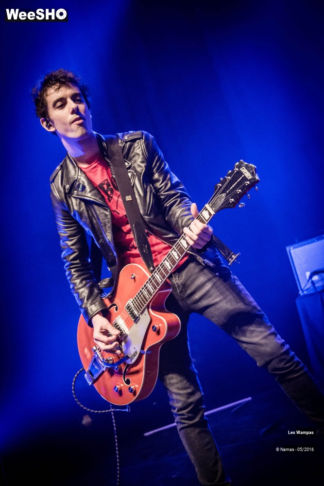 33/46 photos du spectacle Les Wampas