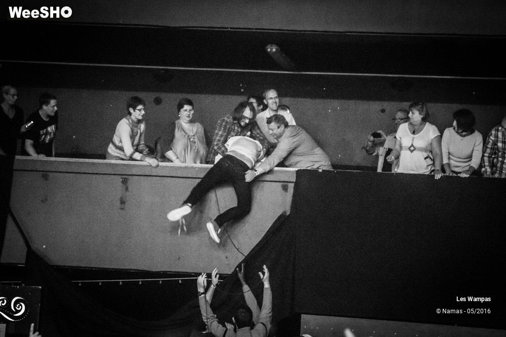 34/46 photos du spectacle Les Wampas