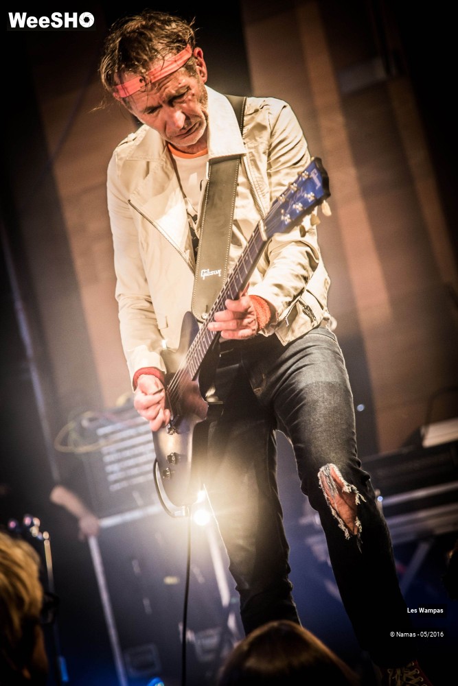35/46 photos du spectacle Les Wampas