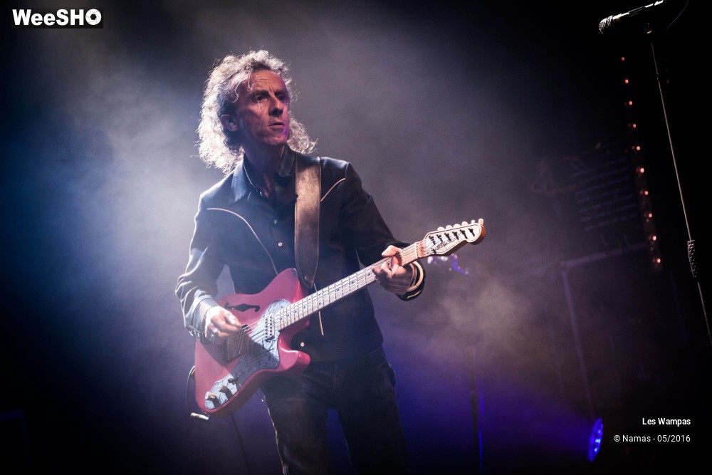 38/46 photos du spectacle Les Wampas