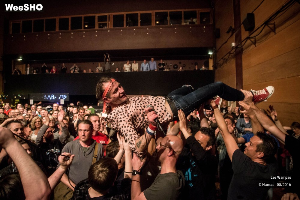 39/46 photos du spectacle Les Wampas