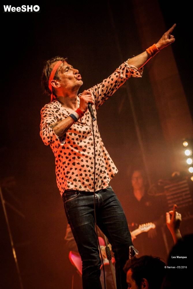 40/46 photos du spectacle Les Wampas