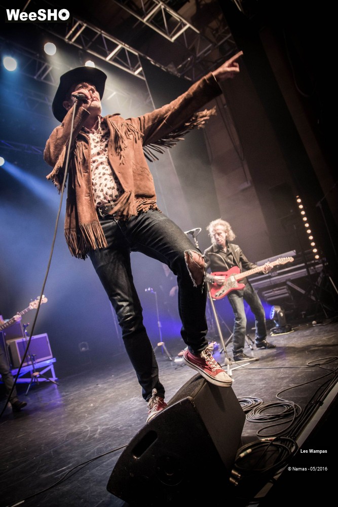 42/46 photos du spectacle Les Wampas