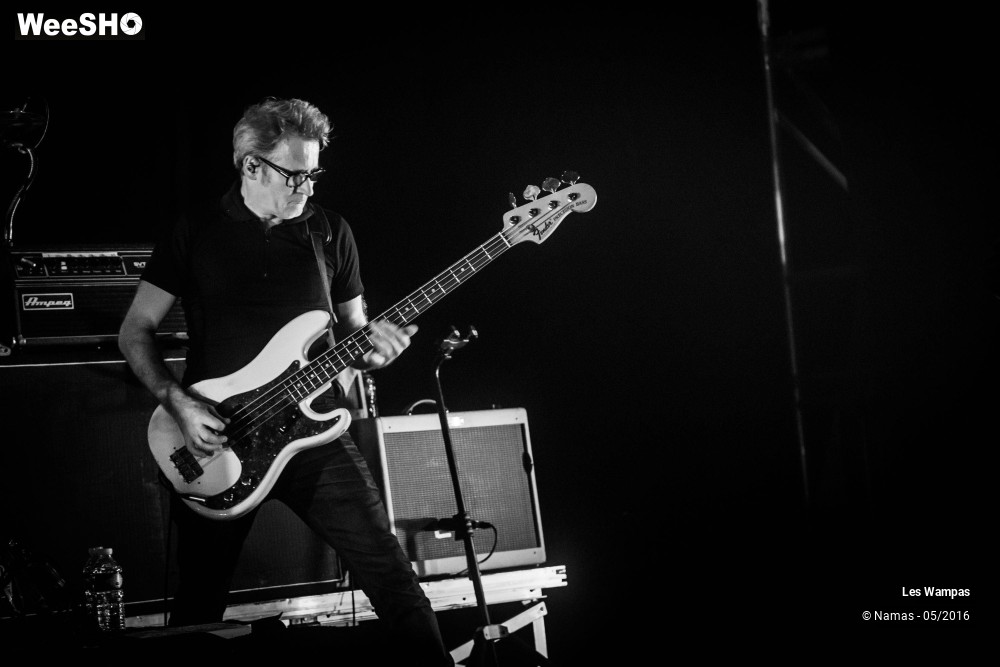 43/46 photos du spectacle Les Wampas