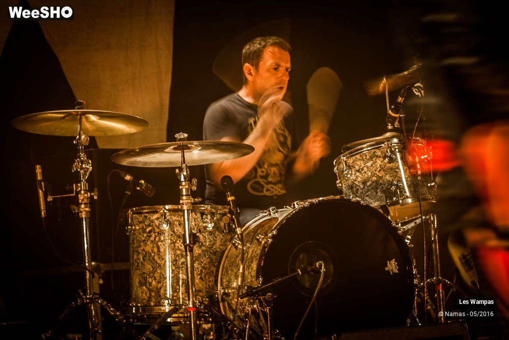 44/46 photos du spectacle Les Wampas