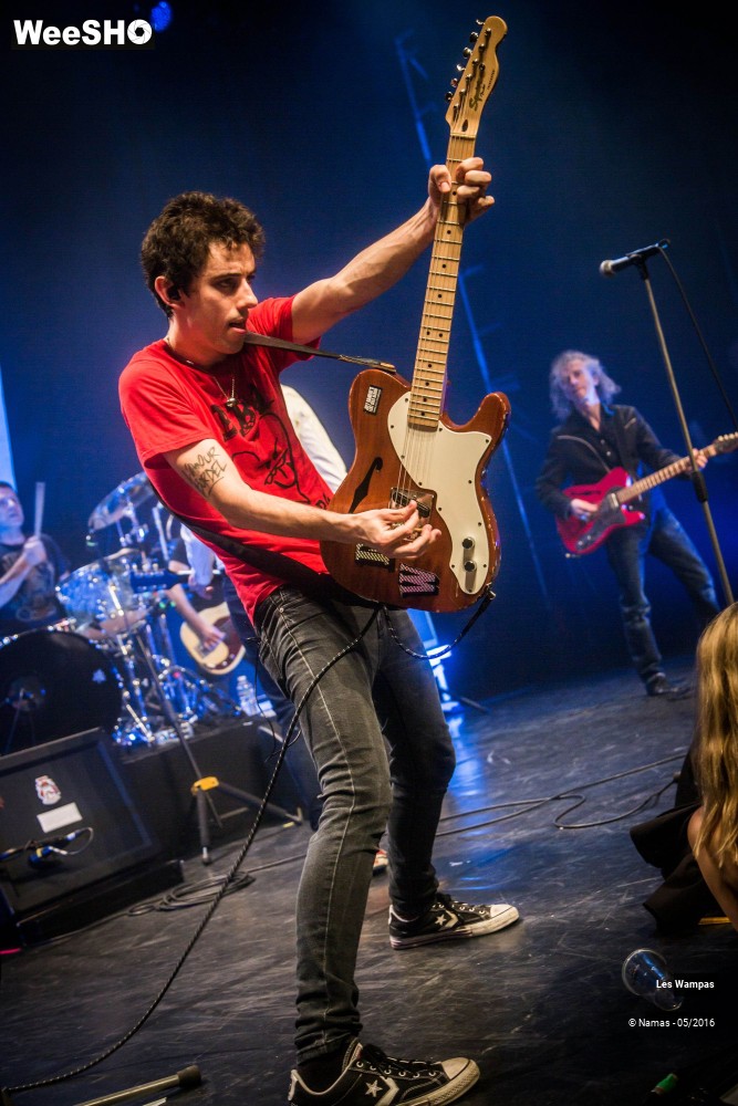 45/46 photos du spectacle Les Wampas