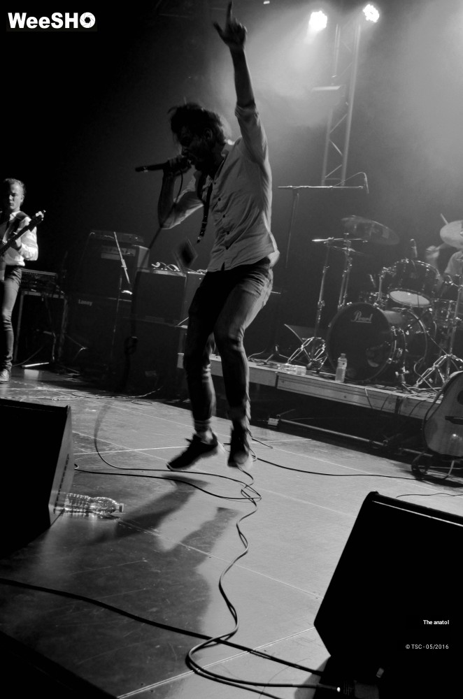 4/10 photos du spectacle The anatol
