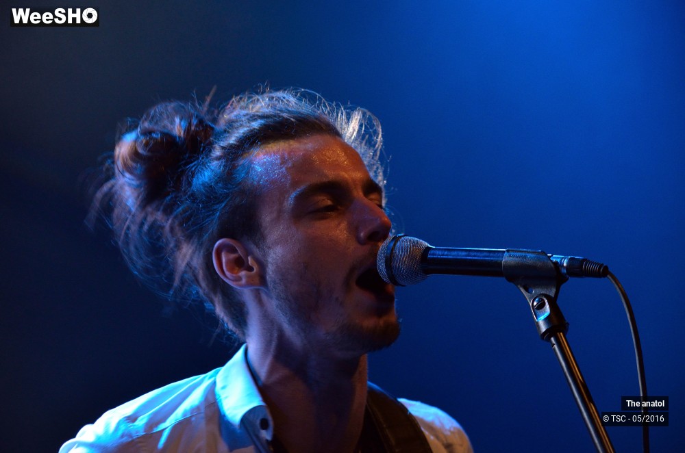 5/10 photos du spectacle The anatol