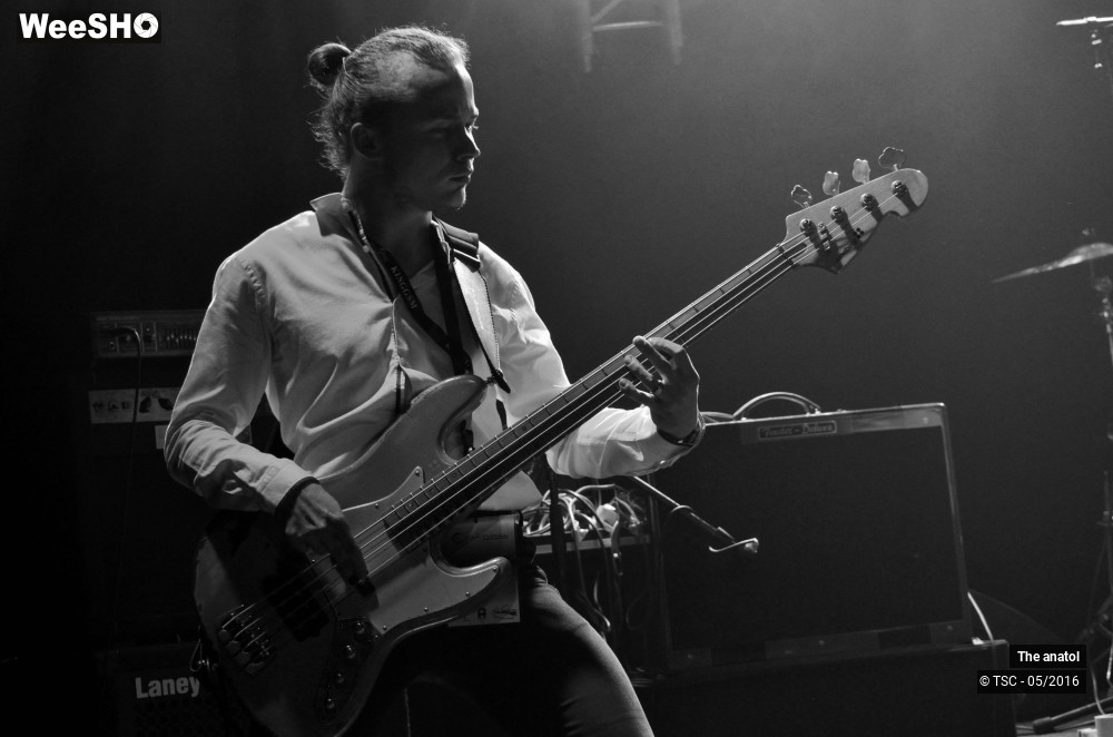 6/10 photos du spectacle The anatol