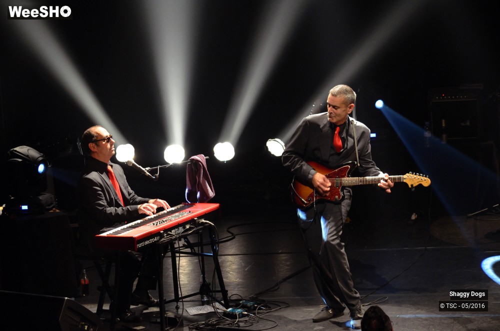 1/29 photos du spectacle Shaggy dogs
