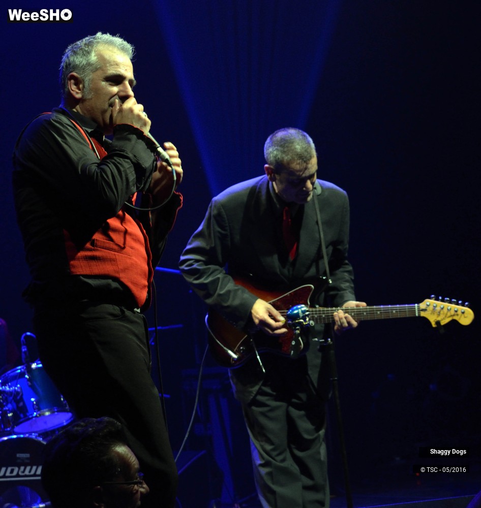 2/29 photos du spectacle Shaggy dogs