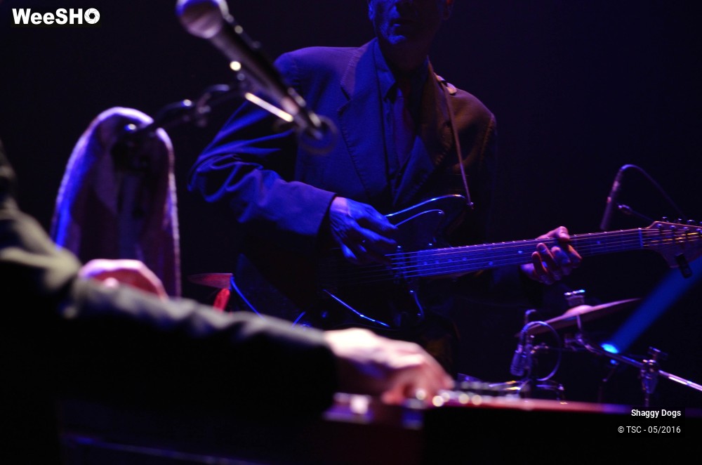 4/29 photos du spectacle Shaggy dogs
