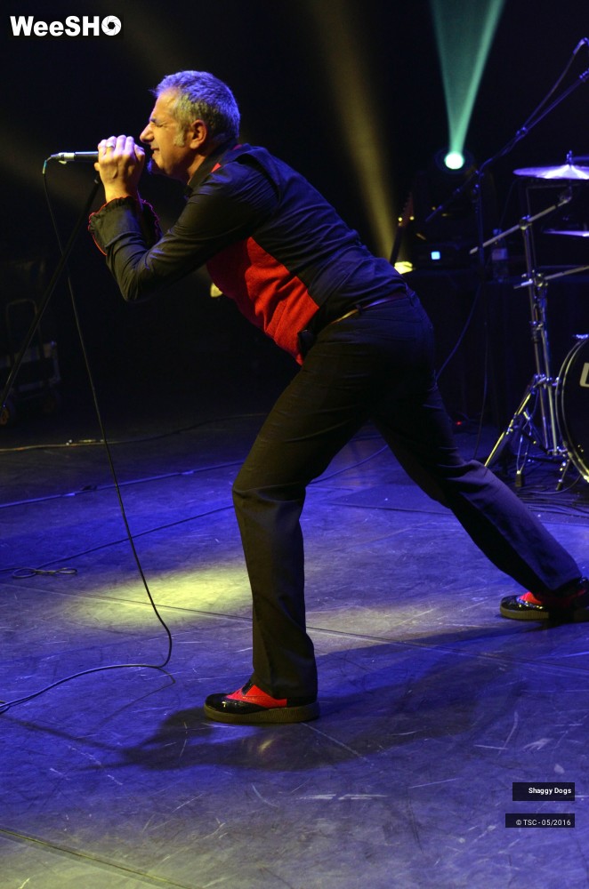 5/29 photos du spectacle Shaggy dogs
