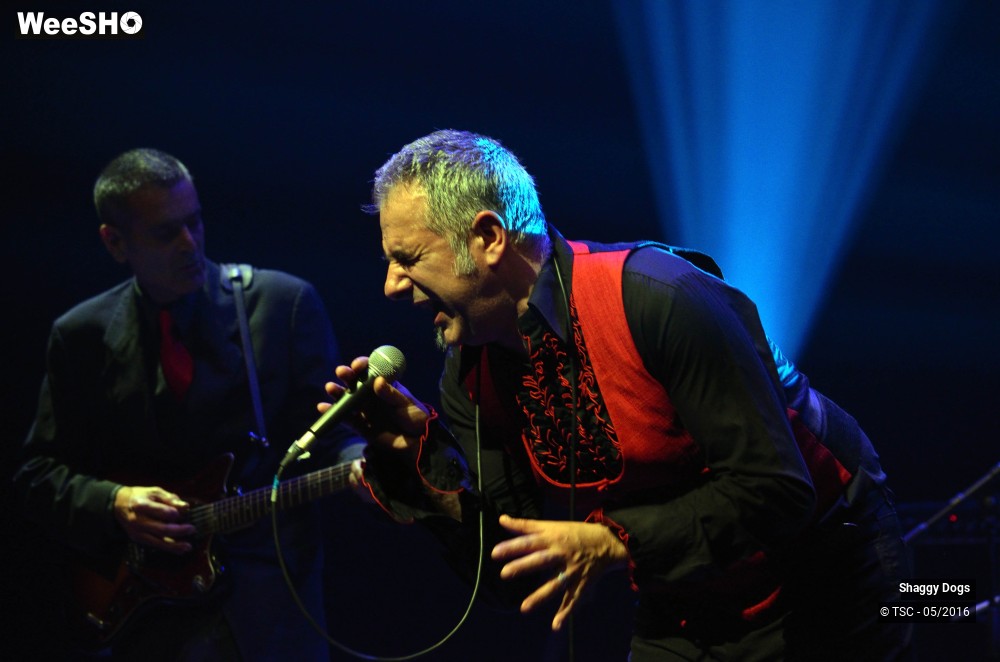 6/29 photos du spectacle Shaggy dogs