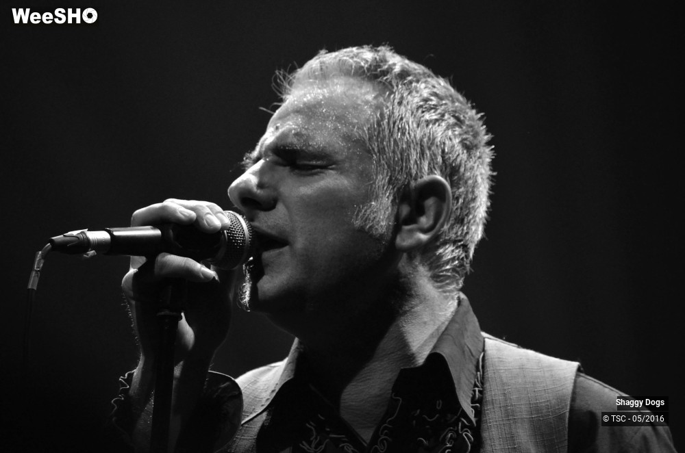 7/29 photos du spectacle Shaggy dogs