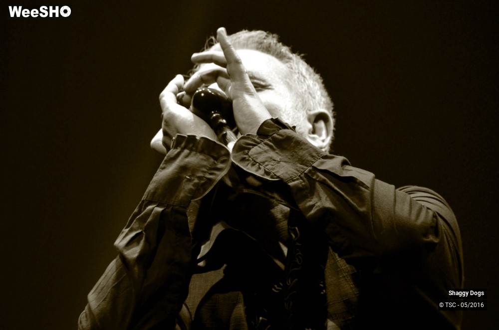 9/29 photos du spectacle Shaggy dogs