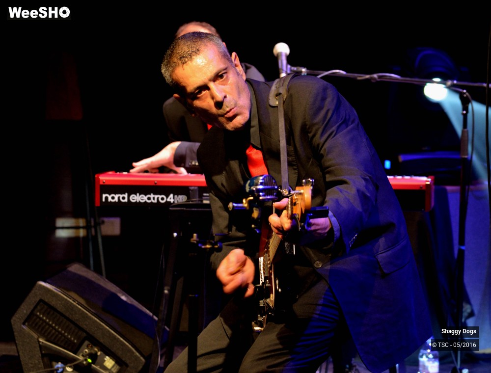 12/29 photos du spectacle Shaggy dogs