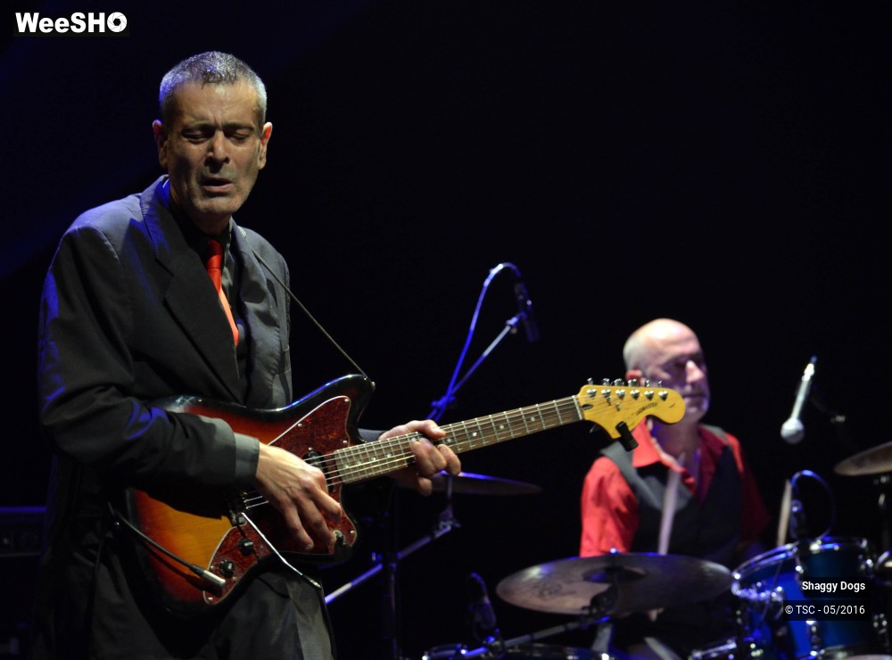 14/29 photos du spectacle Shaggy dogs