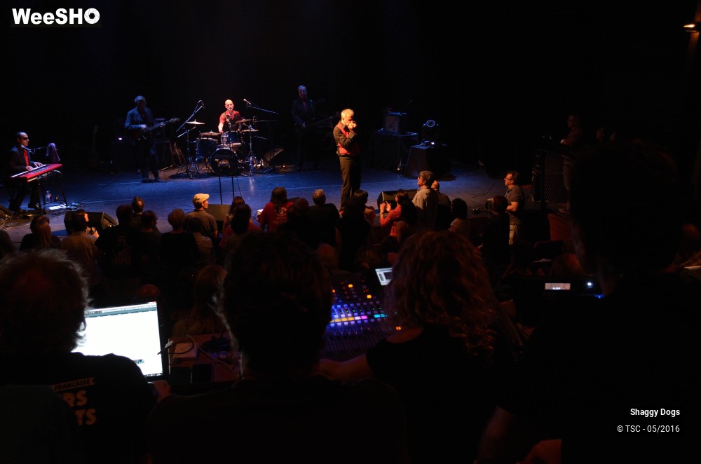 16/29 photos du spectacle Shaggy dogs