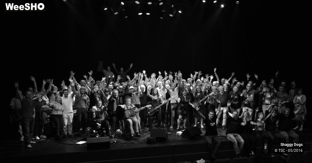 21/29 photos du spectacle Shaggy dogs