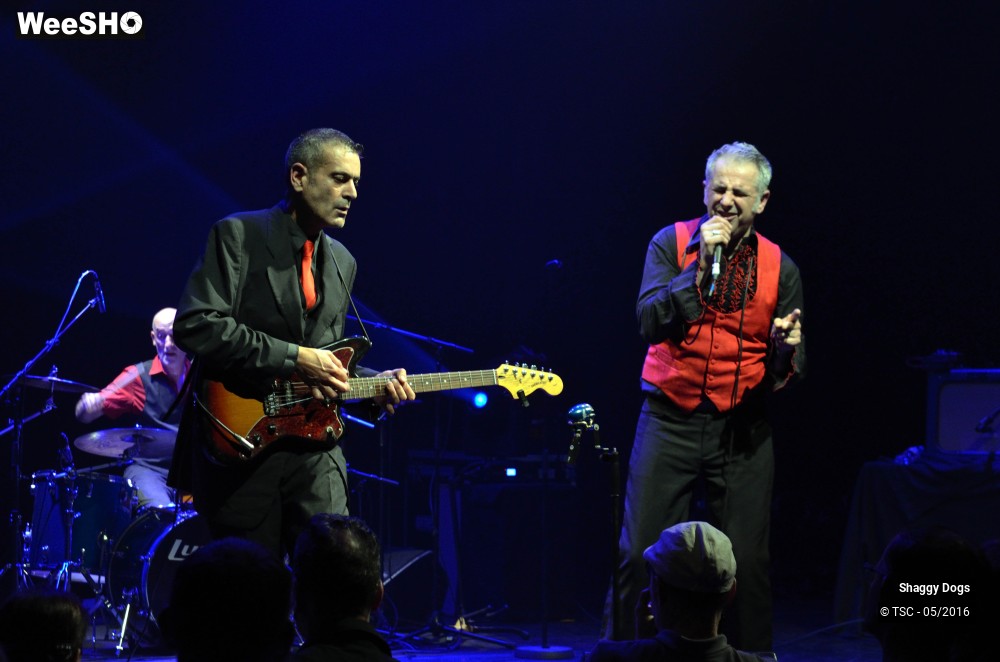 22/29 photos du spectacle Shaggy dogs