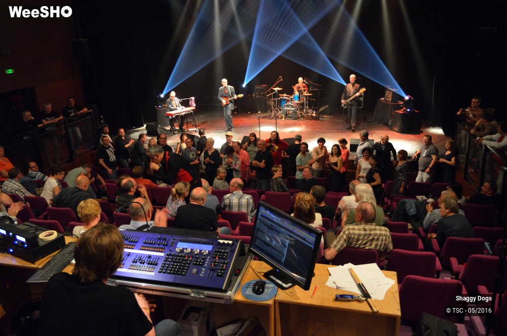 23/29 photos du spectacle Shaggy dogs