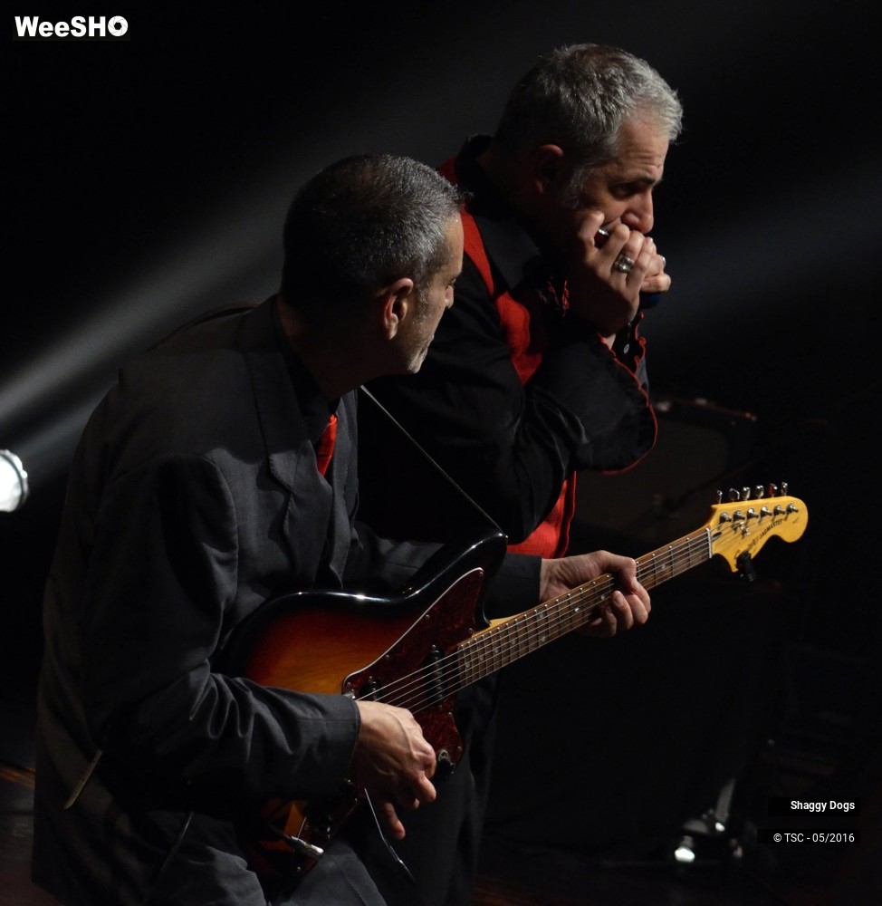 25/29 photos du spectacle Shaggy dogs