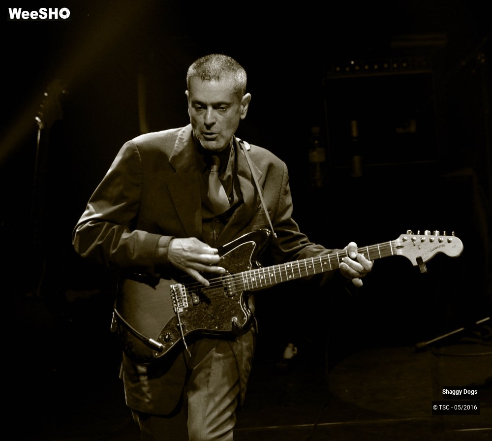 27/29 photos du spectacle Shaggy dogs