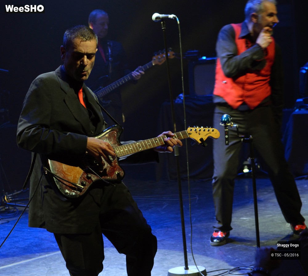 29/29 photos du spectacle Shaggy dogs