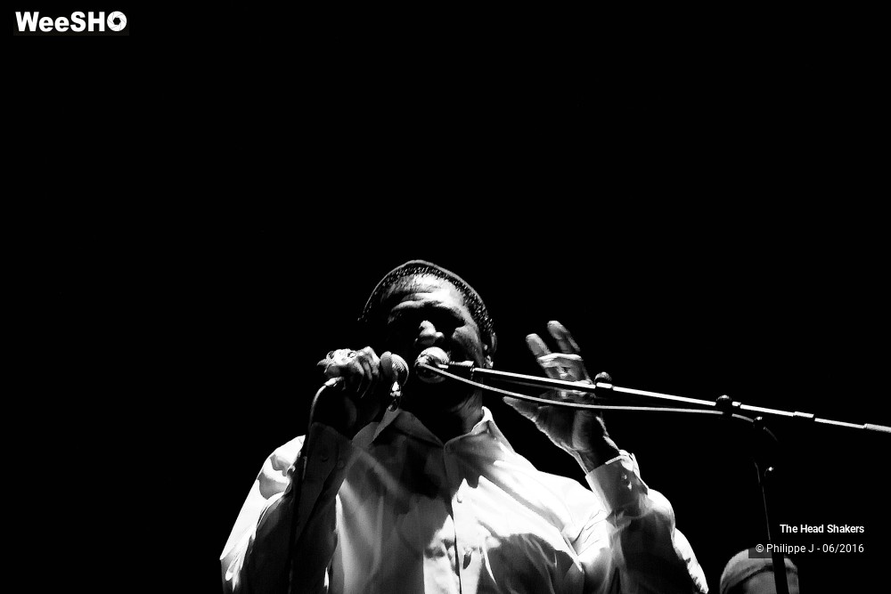 8/20 photos du spectacle The Head Shakers feat Napoleon Murphy Brock
