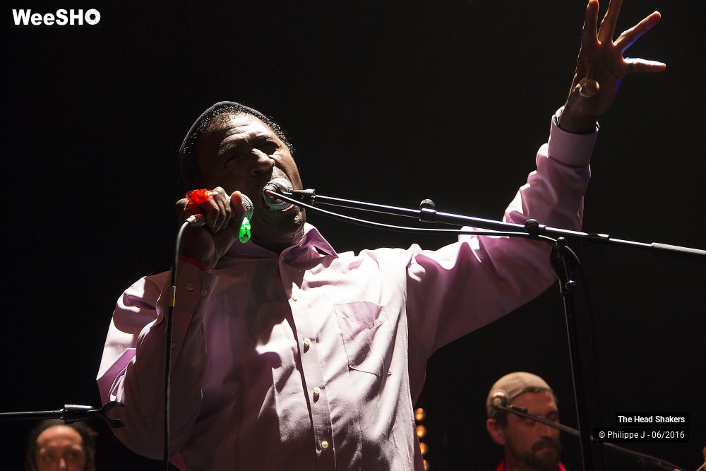 10/20 photos du spectacle The Head Shakers feat Napoleon Murphy Brock