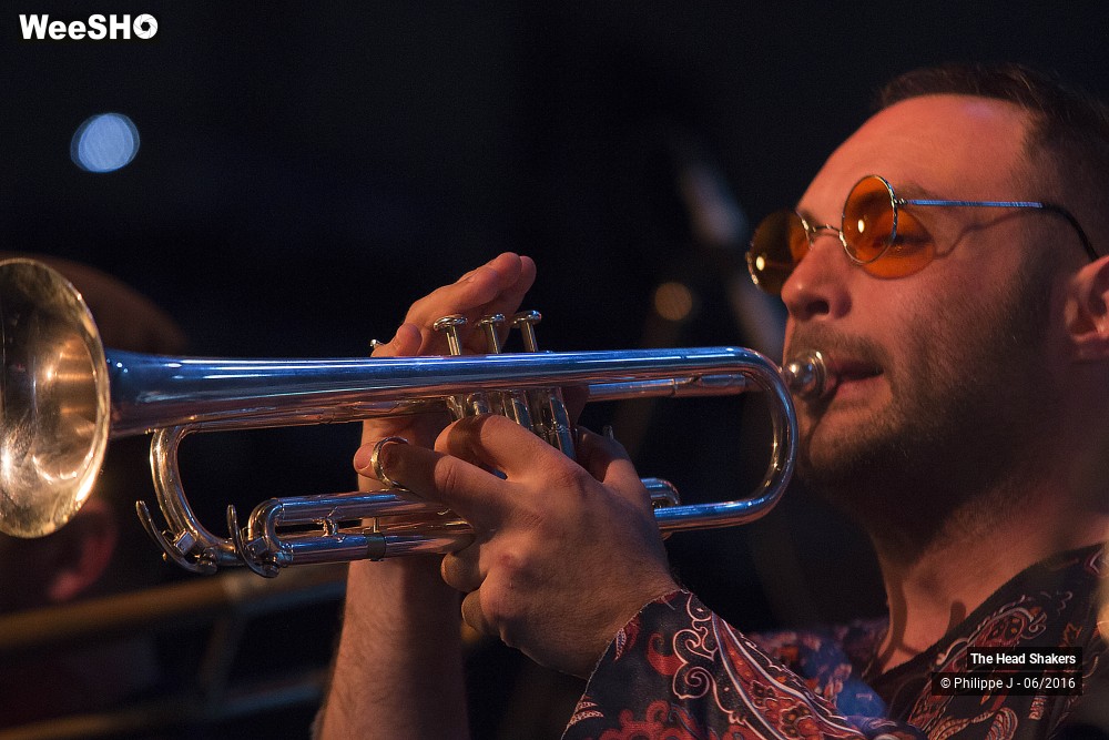 12/20 photos du spectacle The Head Shakers feat Napoleon Murphy Brock