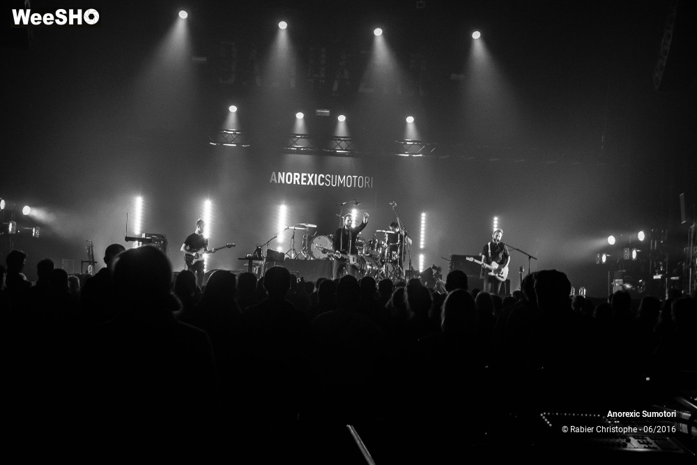 16/37 photos du spectacle anorexic sumotori