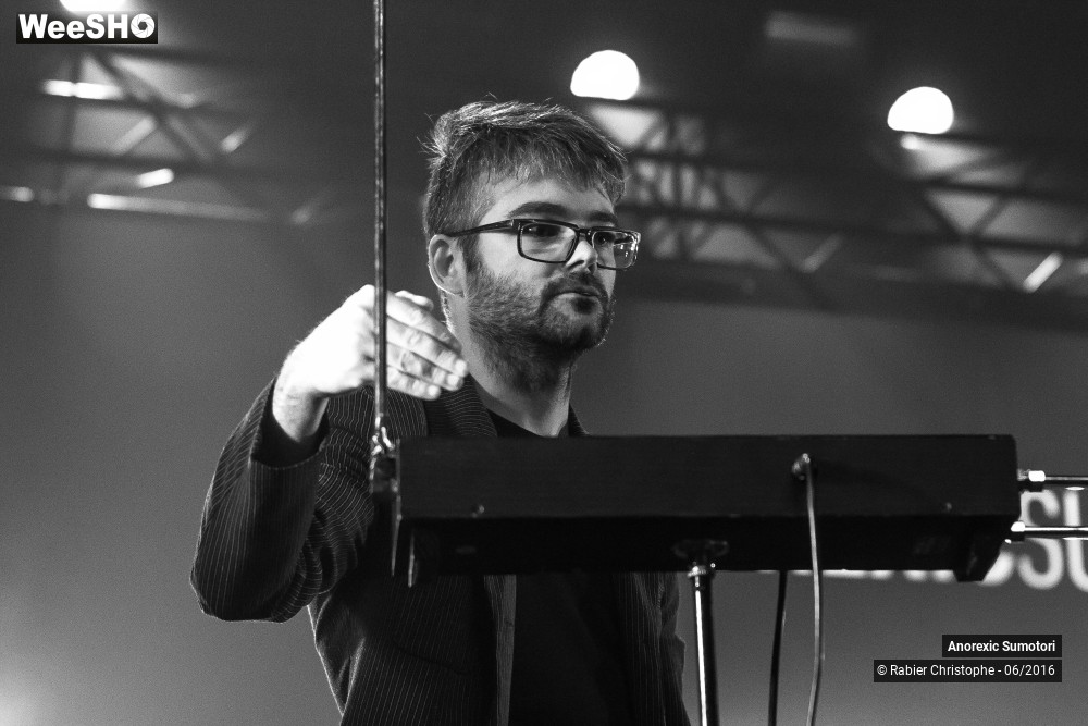 24/37 photos du spectacle anorexic sumotori