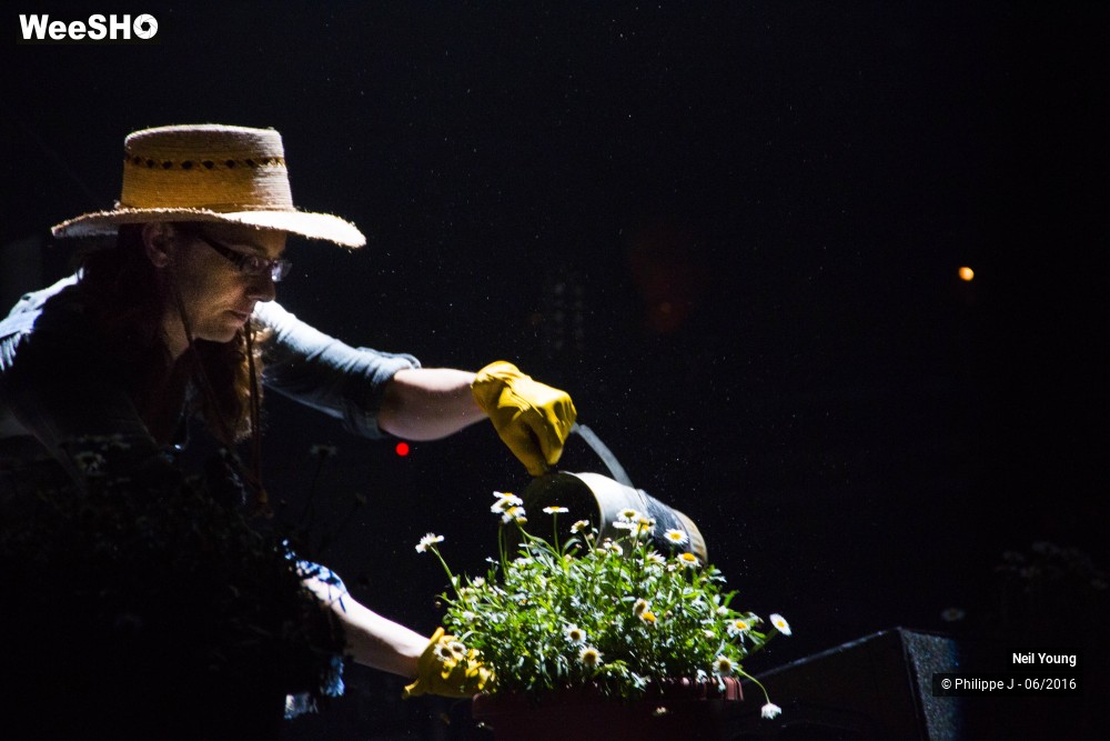 4/13 photos du spectacle Neil Young