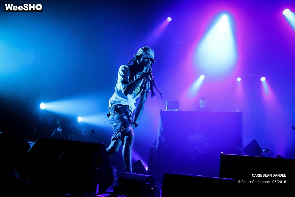 16/21 photos du spectacle Caribbean Dandee