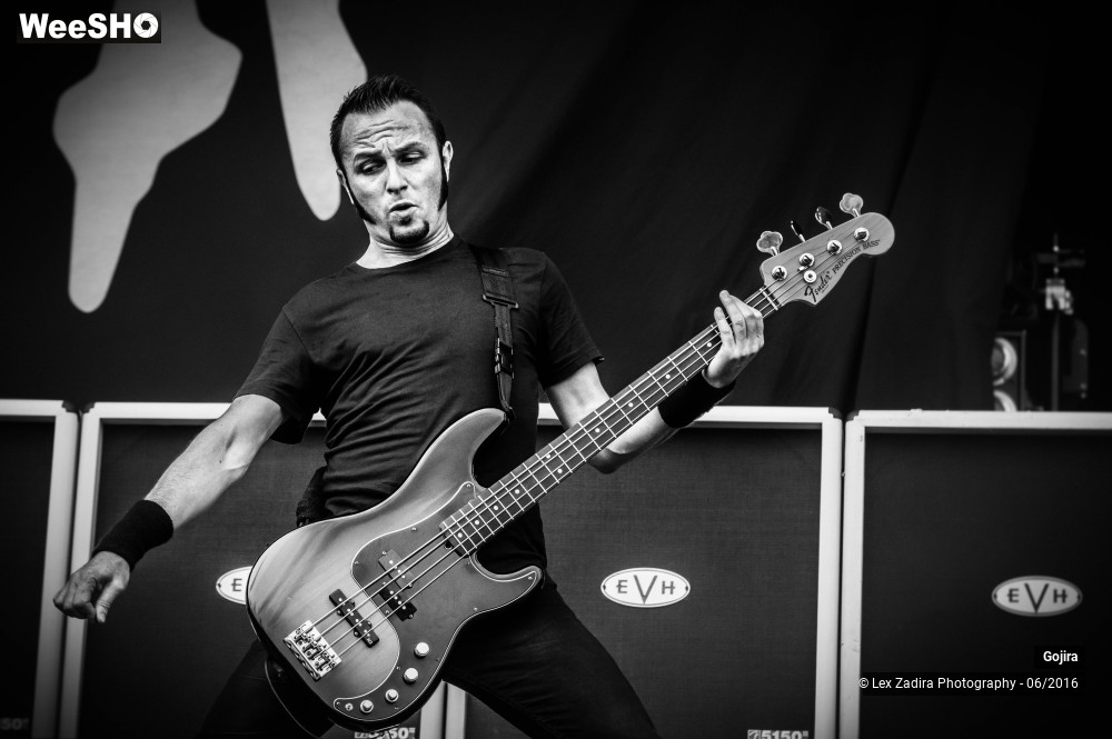 7/8 photos du spectacle Gojira