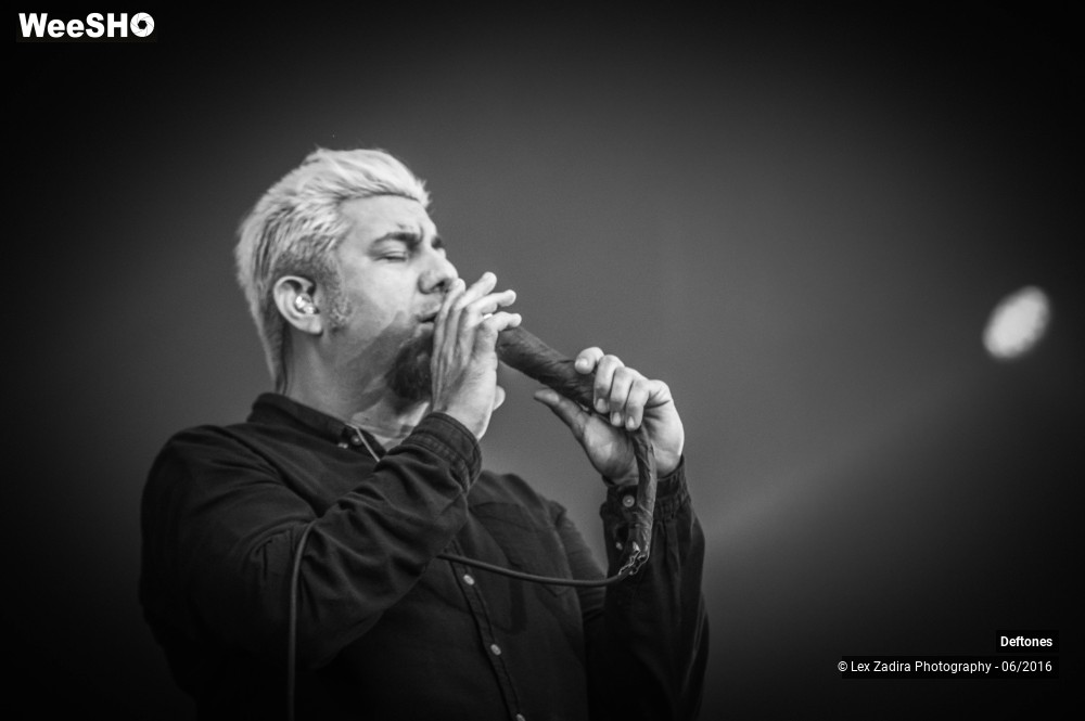 8/11 photos du spectacle Deftones