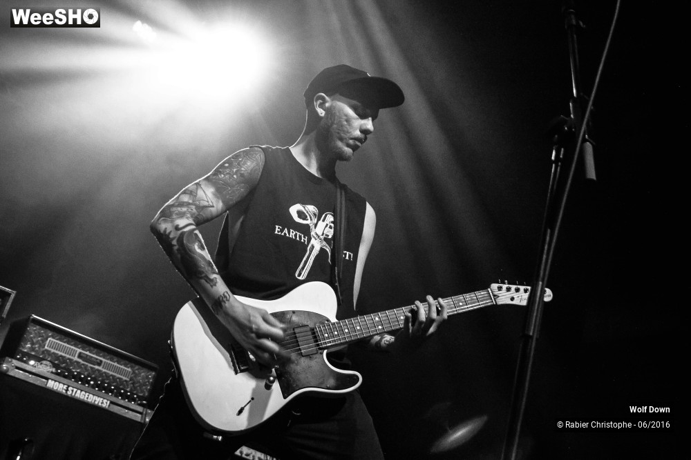 1/16 photos du spectacle Wolf  Down